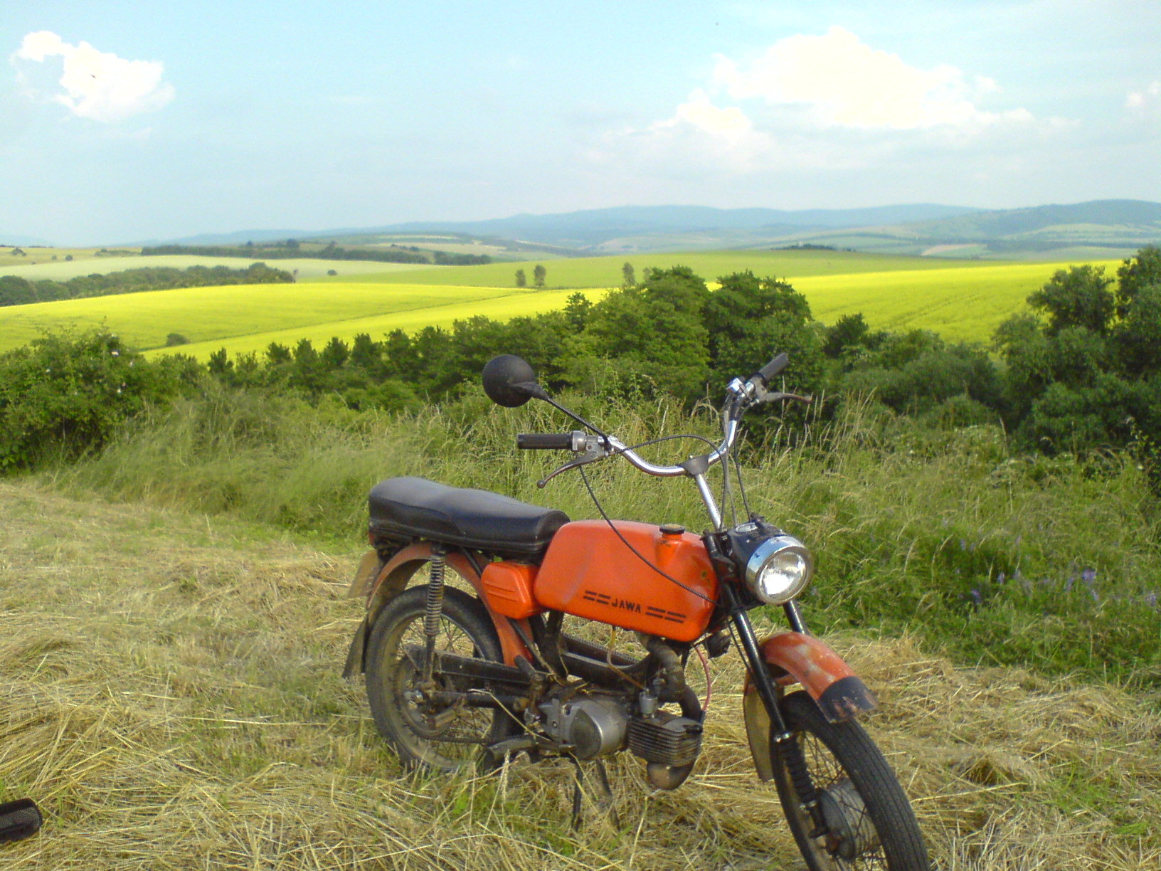 DSC02995.JPG